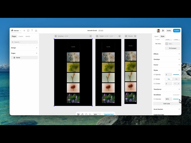 Add Smooth Scrolling to Your Framer Site — One Control