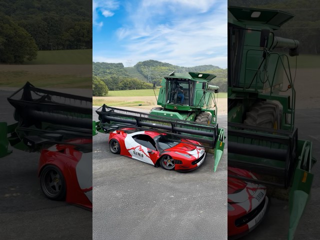 Harvesting season is here! That means Ferraris are being harvested for their dense nutrients 🤠
