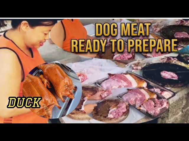 The girl is very skilled at preparing fresh dog meat, and she also sells roasted duck. 