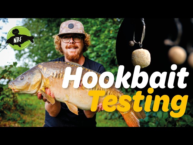3 Hookbaits, ONE Spot: Testing Bottom Baits, Wafters & Pop-Ups!