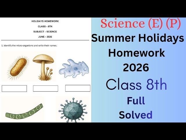 PSEB Class 8th Science holiday homework 2026 | 8th class Science holiday homework June 2026