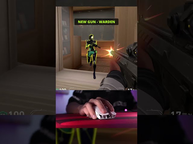 I TRIED VALORANT'S NEW GUN [WARDEN] #valorant #gamingmouse #Valorantchampions2026