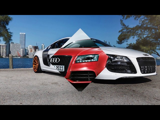 AUDI COLLECTION