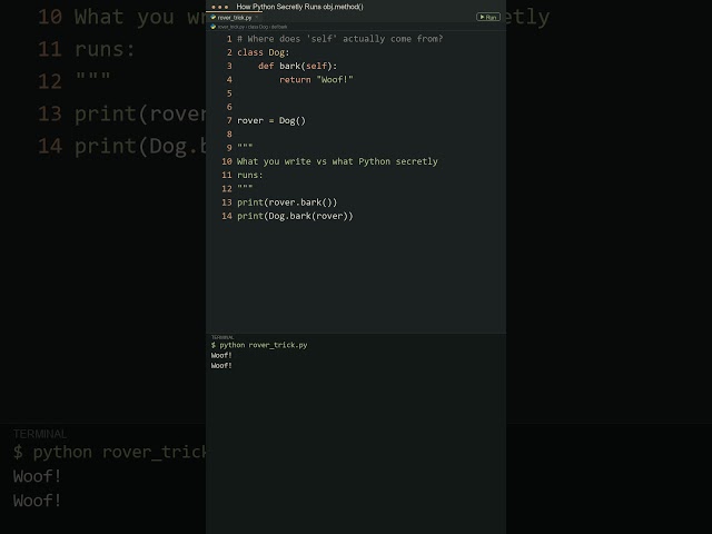 Where Does "self" ACTUALLY Come From in Python?! 🐕 #python #coding #programming #developer