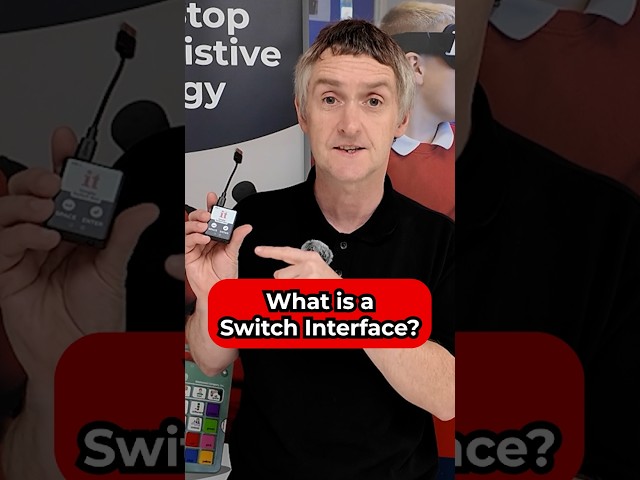 What is a Switch Interface?