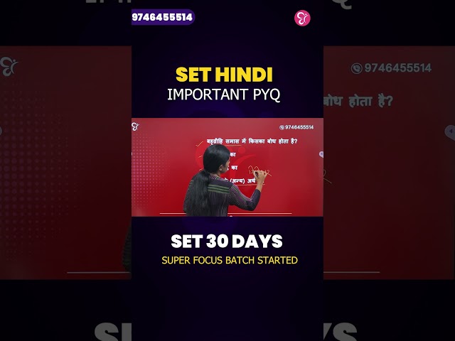 SET HINDI | IMPORTANT PYQ 🔥 | SET Exam Preparation