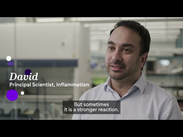 Sanofi – Inflammation explained with #NoJargon