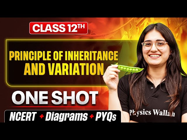Principles of Inheritance and Variation Class 12 One Shot 🔥 | Biology Chapter 4 | NCERT + PYQs