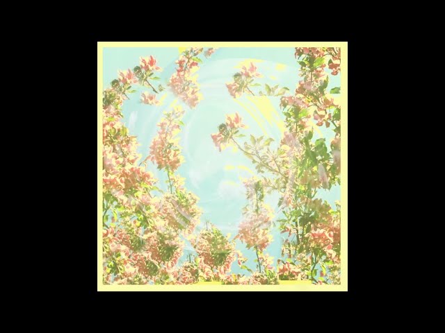 Mother Sun - Yellowbee