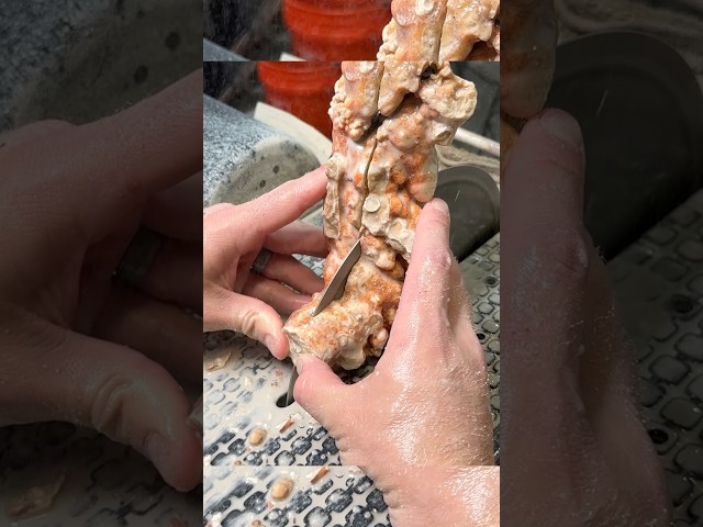 The most beautiful cave stalactite ever cut open 💎