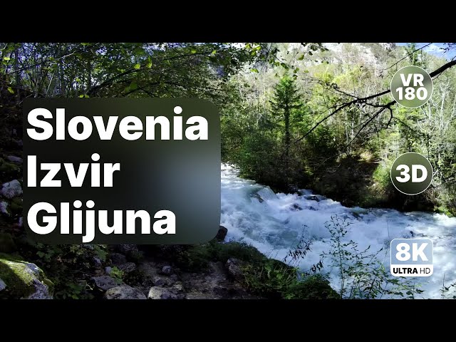Slovenia Izvir Glijuna - Forest Spring Walk 8K 180 3D