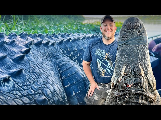 We Found The KIM KARDASHIAN Of Florida ALLIGATORS! (He BIT my BOAT!!!) *Gator Hunting*