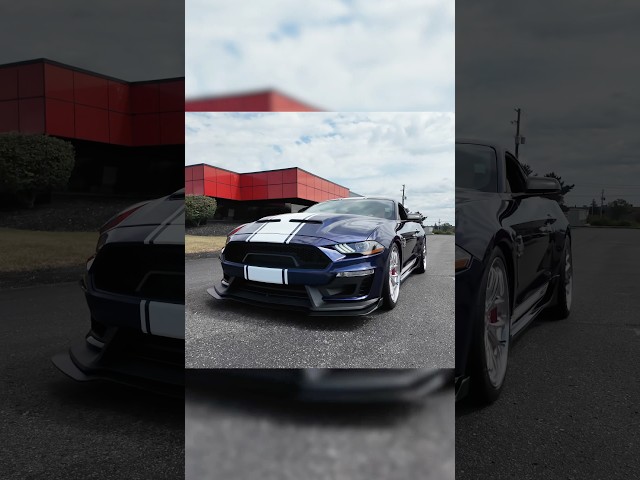 Check out our New Arrival! 2019 Ford Mustang Shelby Super Snake!