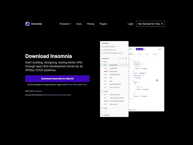 Insomnia Tutorial: API Design, Testing and Collaboration
