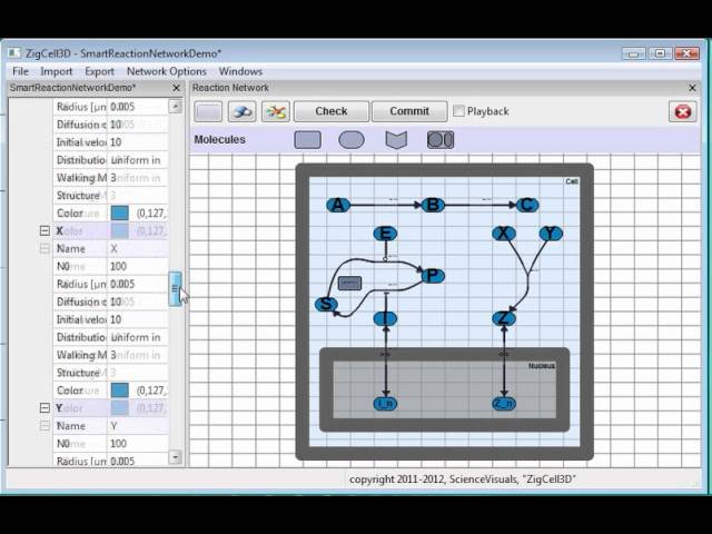 ZigCell3D - Building a Reaction Network for a Simple Signalling Cascade II