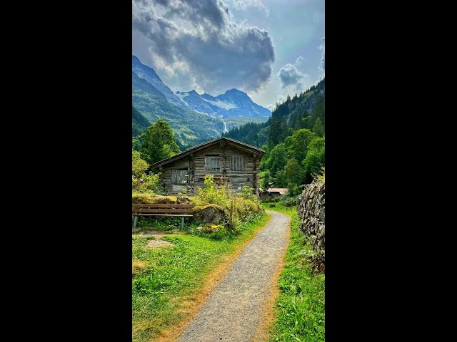 This is heaven #switzerland #nature #grindelwald #shorts #alps