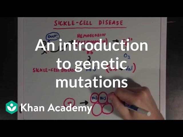 An introduction to genetic mutations | Biomolecules | MCAT | Khan Academy