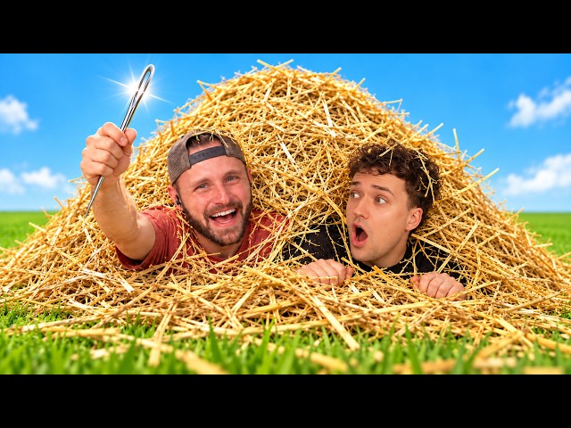 WE FOUND THE NEEDLE In The HAYSTACK!