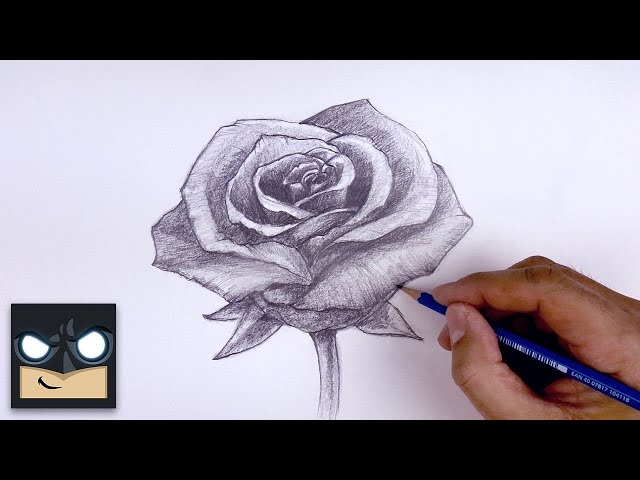 How To Draw A Rose | Beginner Pencil Sketch Tutorial (Step-by-Step)