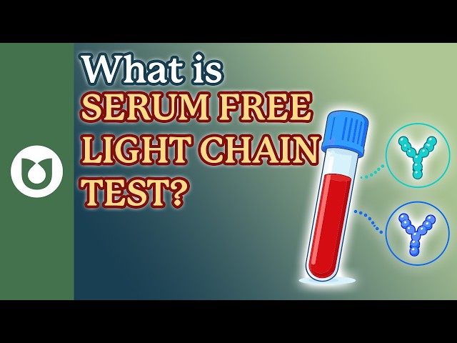 Free Light Chains and the Kappa/Lambda Free Light Chain Ratio: Top Things You Should Know 