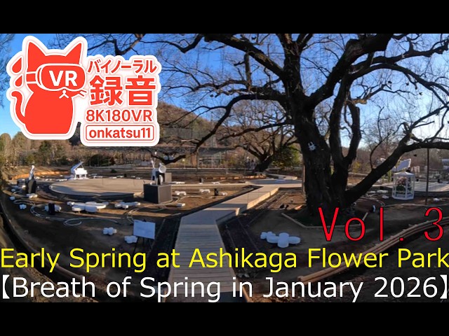 [8K VR180]🌱[Early Spring at Ashikaga Flower Park—Breath of Spring in January 2026]③