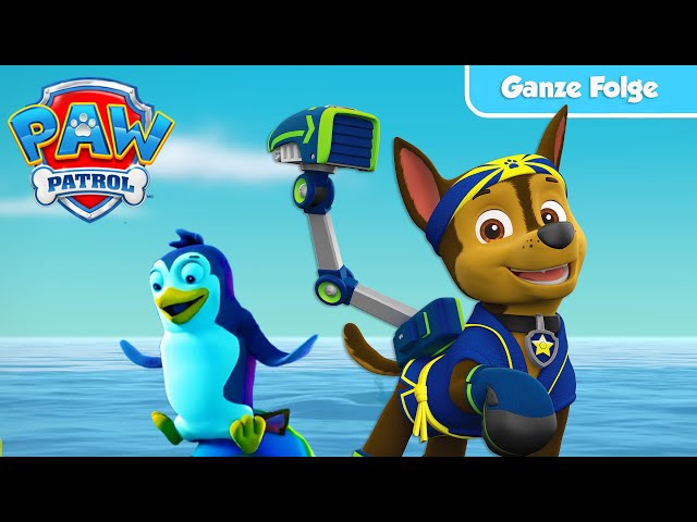 Die Fellfreunde retten die Pinguine 🐧 | GANZE FOLGE | PAW Patrol auf Deutsch | Videos für Kinder