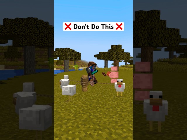 EASIEST Automatic AFK Chicken Farm Tutorial - Minecraft Java 1.20 #shorts