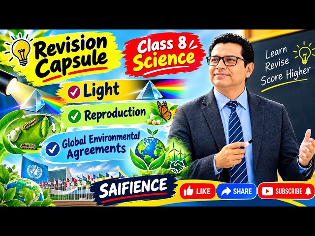 Revision Capsule