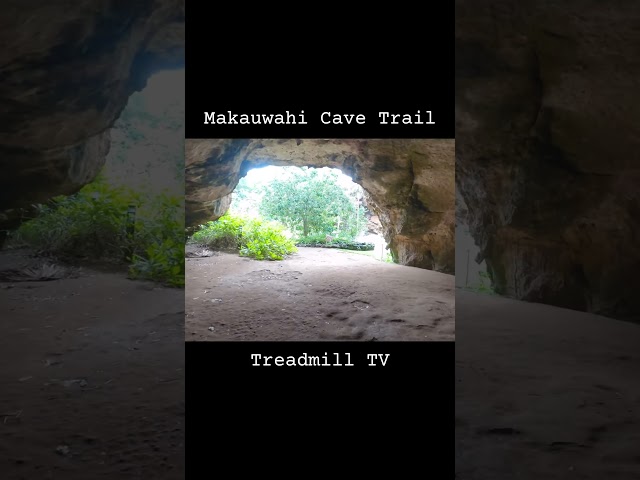 #treadmill #hawaii #marathontraining