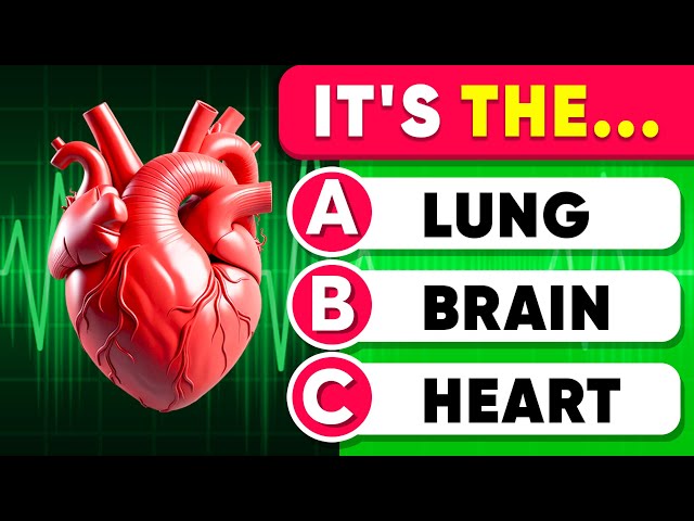 Can You Pass This Human Body Quiz? 🧠 Take This Question Anatomy Quiz! 📚