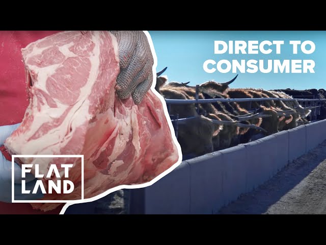 Making a New Meat Market | Harvesting Change