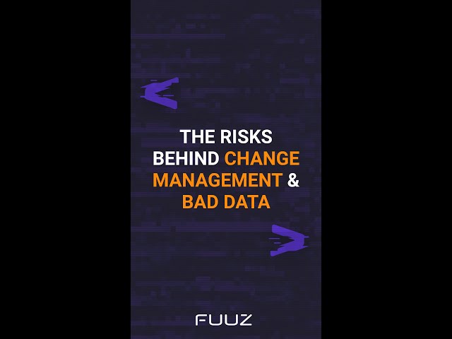 Why is Data Quality So Risky?