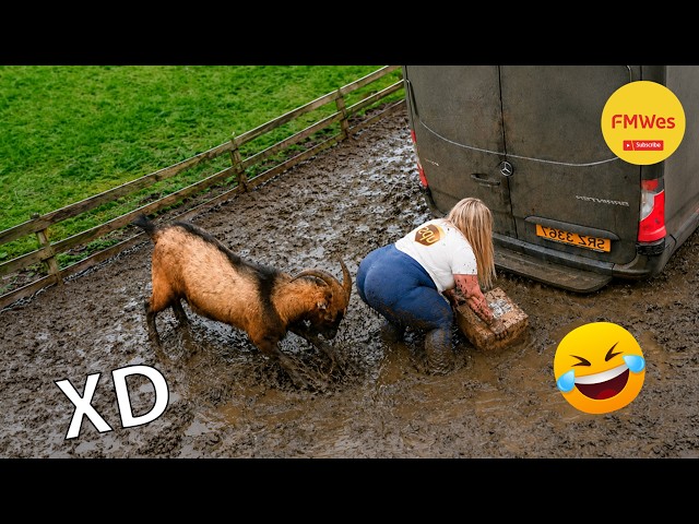 Funny Videos 🤣 If You Laugh You Lose GOD LEVEL #760 😎Mexican Viral Humor🤣