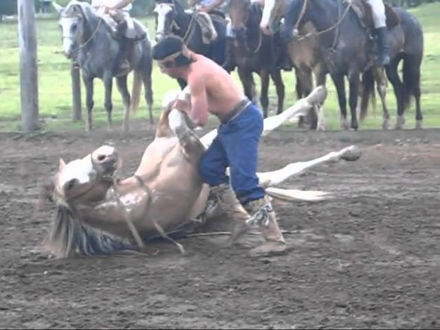 Horse Skills of the Gauchos of Argentina