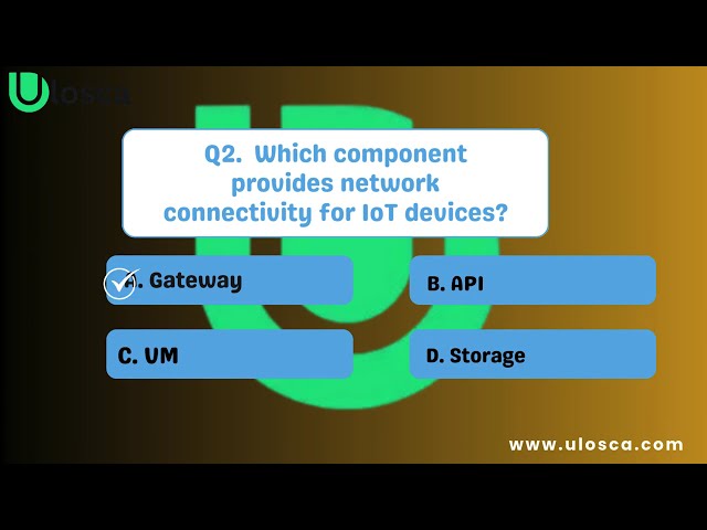 Internet of Things (IoT) and Infrastructure (D337) practice questions