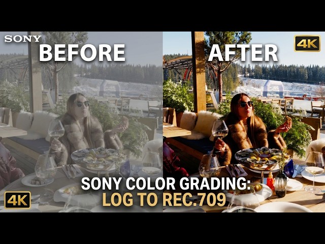 Grey Winter Footage → Golden Cinematic Grade | S-Log3 Before & After | Sony A6700