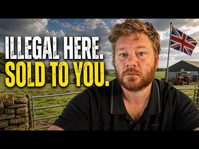 I'm a British Farmer. What's Wrong With Brazilian Chicken?
