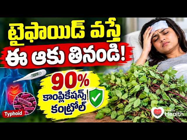 Typhoid Treatment | టైఫాయిడ్ వస్తే ఈ ఆకు తినండి! 90% కాంప్లికేషన్స్ కంట్రోల్ | Dr Satya | ToneHealth