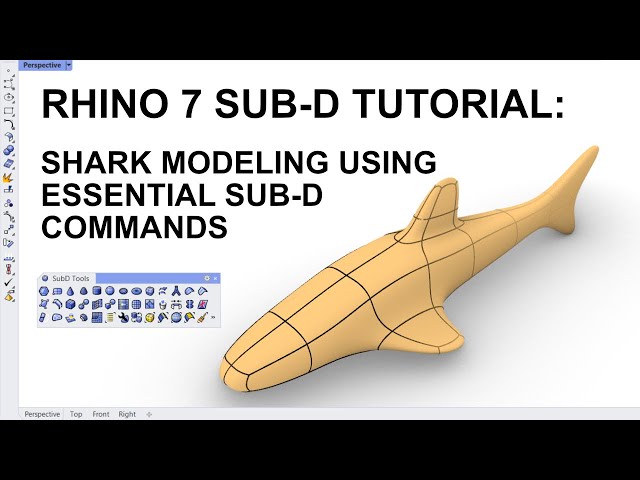 Rhino Organic 3D Tutorial: Modelling a shark using essential Sub-D commands