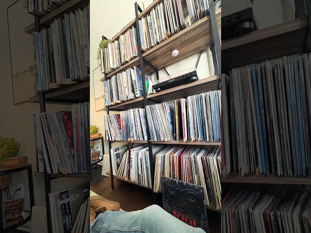 Vinyl House Call 🚨