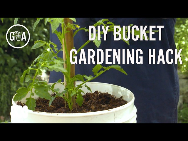 Turn food-grade buckets into self-watering containers & in-ground composters! | Gardening Australia