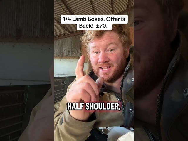 Oh it’s back