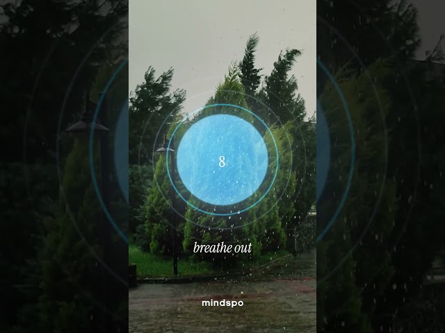 Guided Breathing Exercise 🌲🌧️ | Mindspo