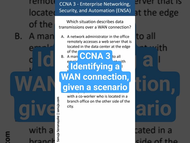 Transmissions over a WAN connection - CCNA Bite 63