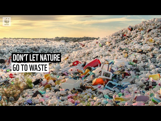 9 Eco-Friendly Alternatives for the Worst Single-Use Plastics ♻️  | WWF-Australia