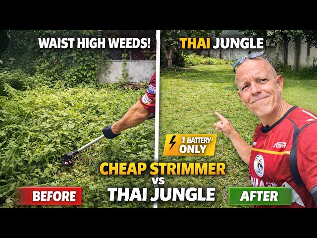 Ep.7 - My Garden Was a Jungle at My £57 Thailand Rental House