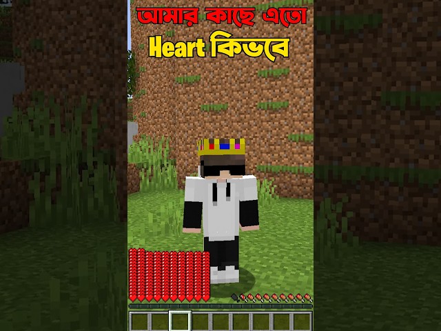 Minecraft But You Can Control My Heart #minecraft