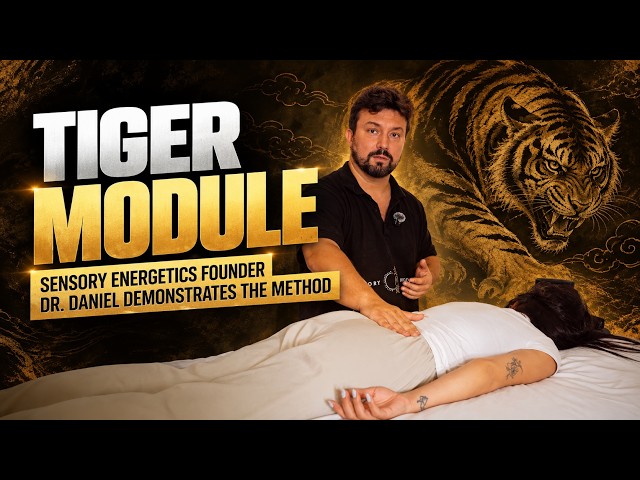 How the Tiger Module Works | Sensory Energetics Demonstration