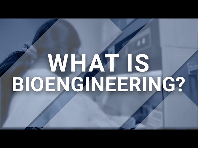 Bioengineering at UC San Diego