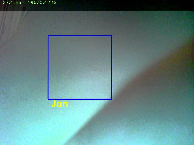 face tracking using full object recognition